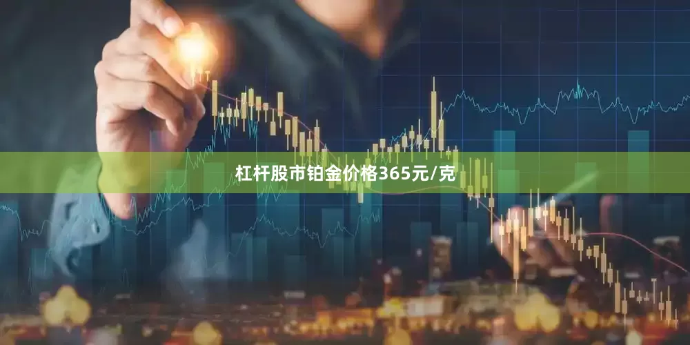 杠杆股市铂金价格365元/克