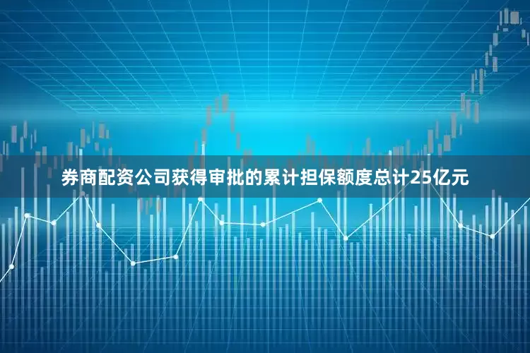 券商配资公司获得审批的累计担保额度总计25亿元